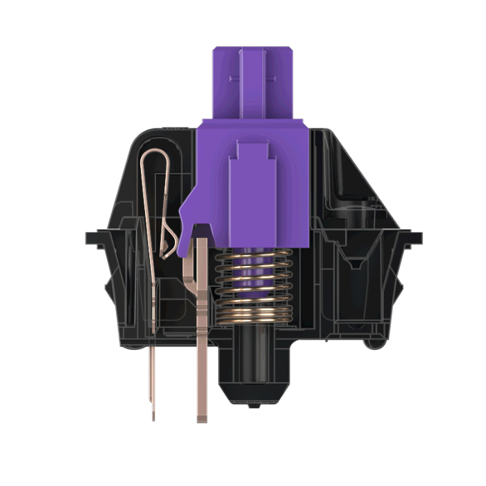 Cherry MX Purple